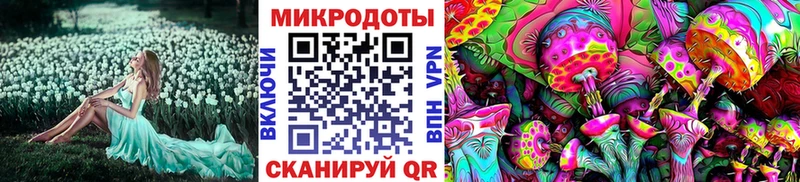 Галлюциногенные грибы мицелий Среднеуральск