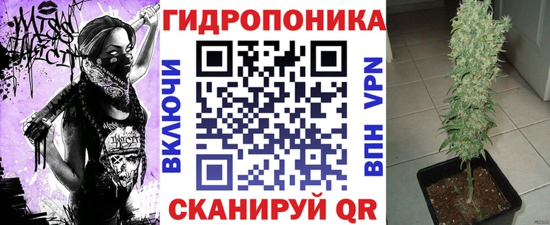 Бошки марихуана гибрид  kraken вход  Среднеуральск 